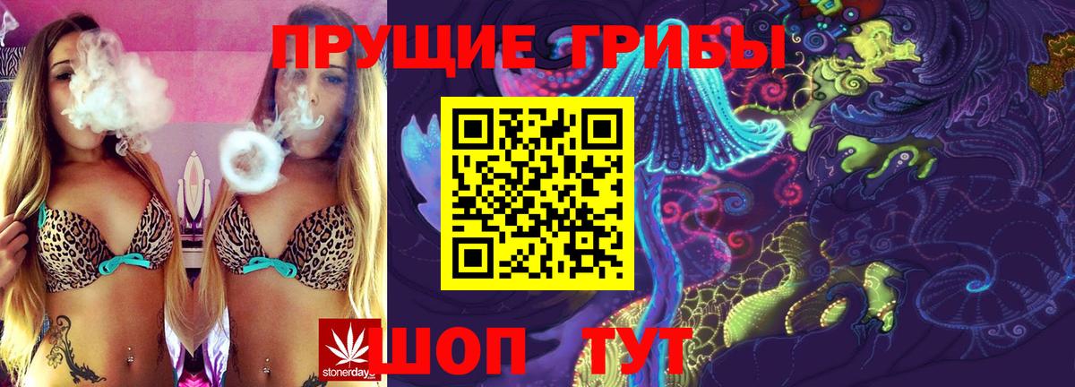 Озёрск  Псилоцибиновые грибы Magic Shrooms  Вход с VPN  где купить наркотик  Псилоцибиновые грибы Cubensis 